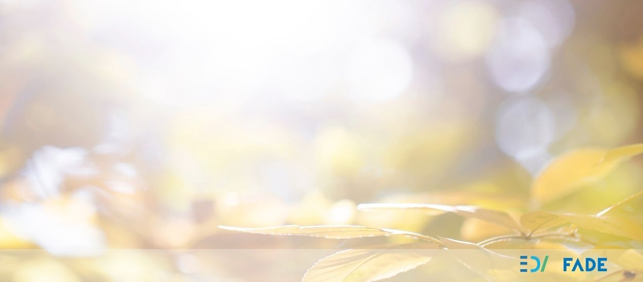 economia-circular-una-apuesta-para-un-futuro-muy-cercano