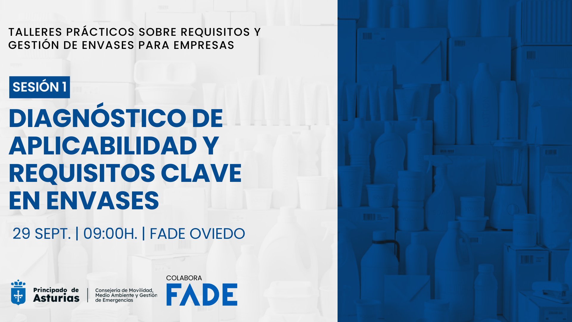 Diagnóstico de Aplicabilidad y Requisitos Clave en Envases